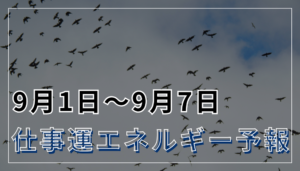 9月1日〜9月7日の仕事運エネルギー予報
