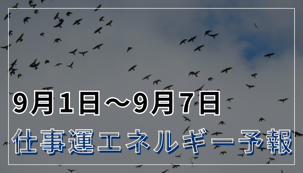 9月1日〜9月7日の仕事運エネルギー予報