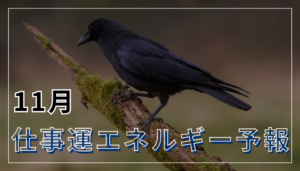11月の仕事運エネルギー予報