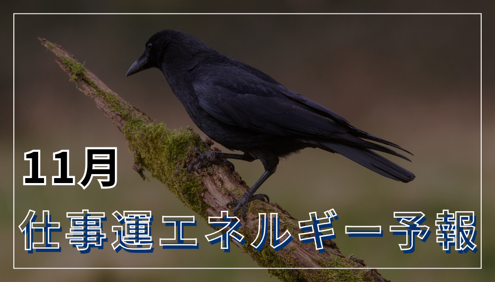 11月の仕事運エネルギー予報